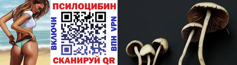где купить наркоту  Сибай  Галлюциногенные грибы Magic Shrooms 